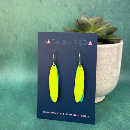 NEW! COLOUR SPLASH EARRINGS